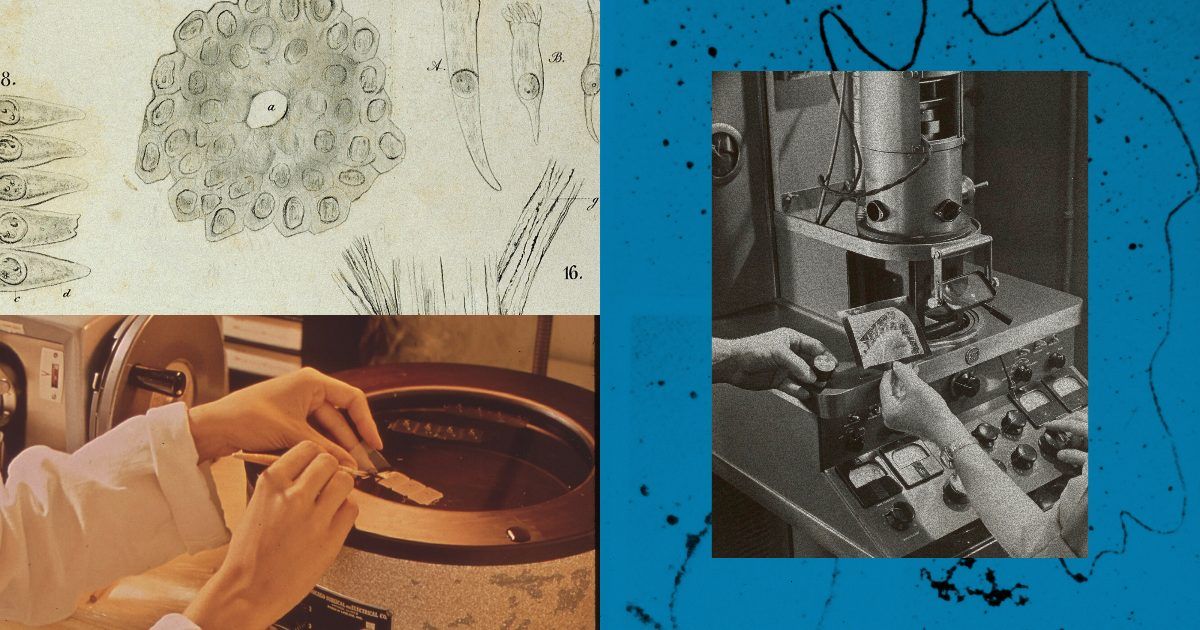 Related image for Anthropic opens call for guest investigators in life sciences